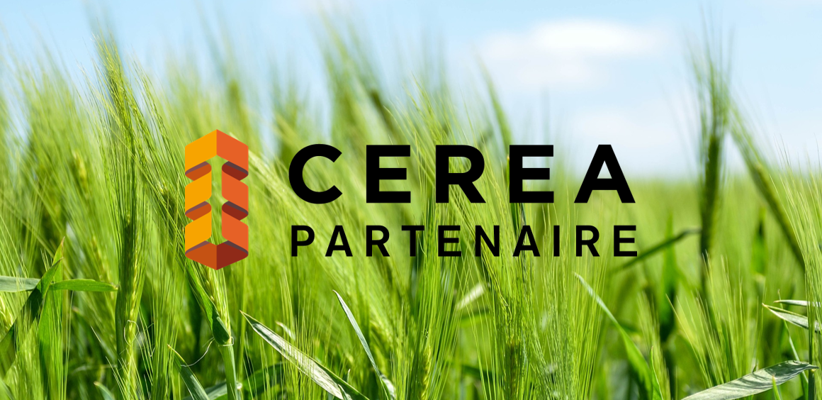nove-news-cerea-partners